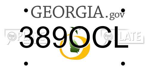 389OCL Georgia License Plate