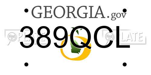 389QCL Georgia License Plate