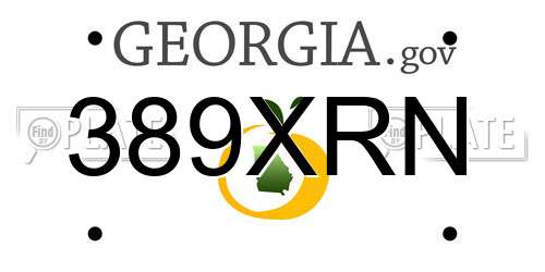 389XRN Georgia License Plate
