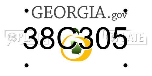38C305 Georgia License Plate