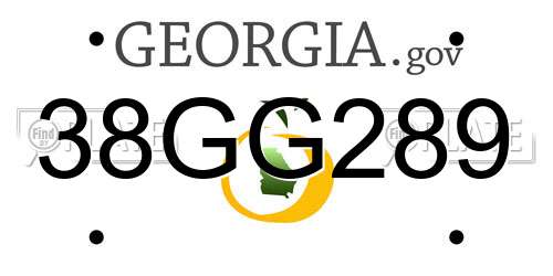 38GG289 Georgia License Plate