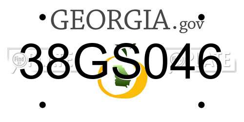 38GS046 Georgia License Plate