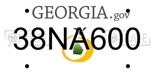 38NA600 Georgia License Plate