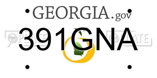 391GNA Georgia License Plate