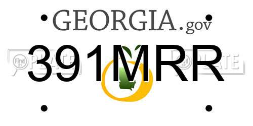391MRR Georgia License Plate