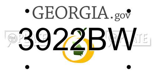 3922BW Georgia License Plate
