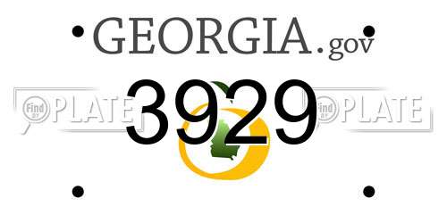 3929 Georgia License Plate