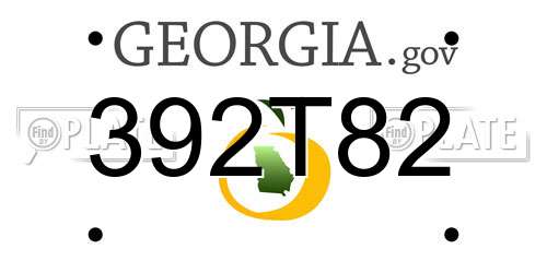 392T82 Georgia License Plate
