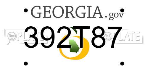 392T87 Georgia License Plate