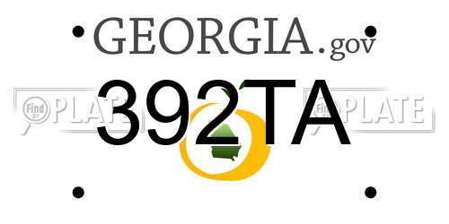 392TA Georgia License Plate