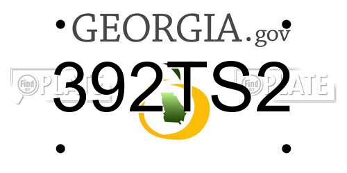392TS2 Georgia License Plate