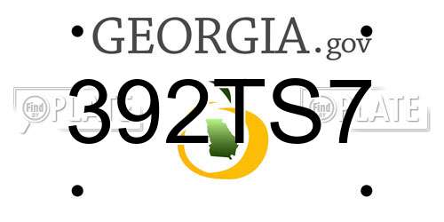 392TS7 Georgia License Plate