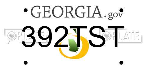 392TST Georgia License Plate
