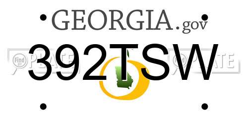 392TSW Georgia License Plate