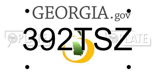 392TSZ Georgia License Plate