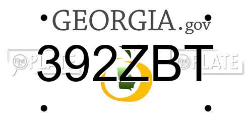 392ZBT Georgia License Plate