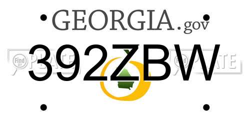 392ZBW Georgia License Plate