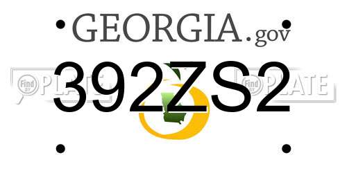 392ZS2 Georgia License Plate