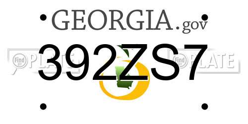 392ZS7 Georgia License Plate