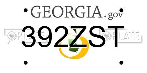 392ZST Georgia License Plate
