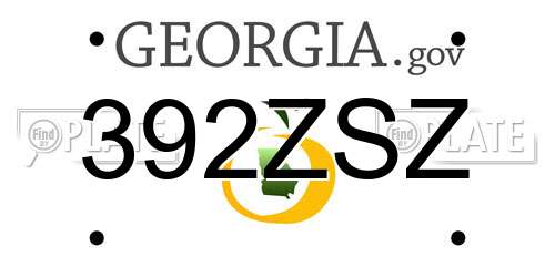 392ZSZ Georgia License Plate