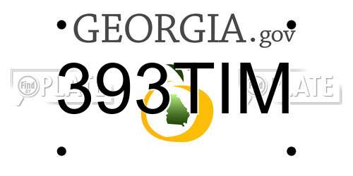 393TIM Georgia License Plate