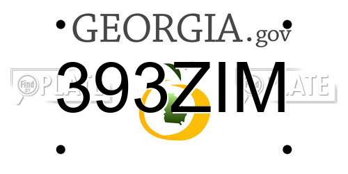 393ZIM Georgia License Plate