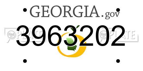 3963202 Georgia License Plate