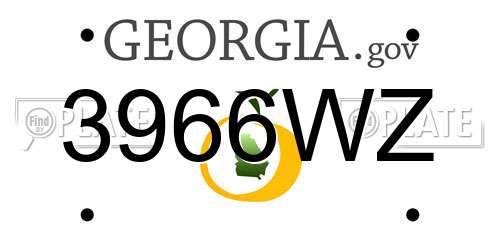 3966WZ Georgia License Plate