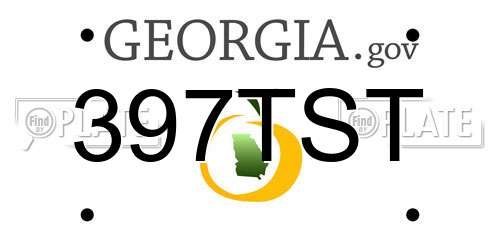 397TST Georgia License Plate