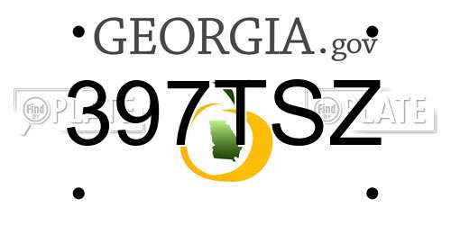 397TSZ Georgia License Plate
