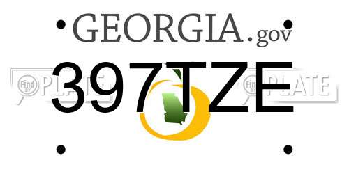 397TZE Georgia License Plate