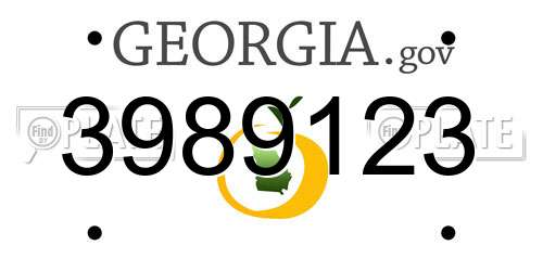 3989123 Georgia License Plate