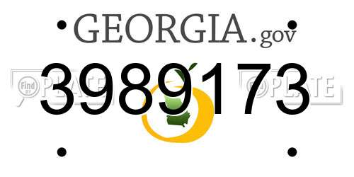 3989173 Georgia License Plate