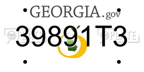 39891T3 Georgia License Plate