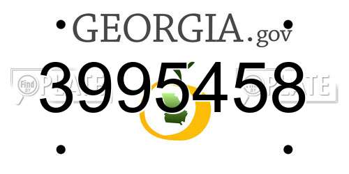 3995458 Georgia License Plate
