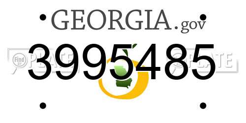 3995485 Georgia License Plate