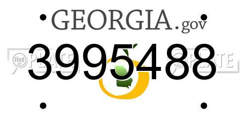 3995488 Georgia License Plate