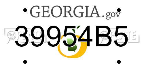 39954B5 Georgia License Plate