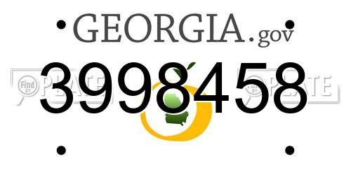 3998458 Georgia License Plate