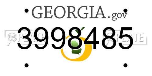 3998485 Georgia License Plate