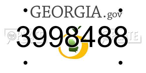 3998488 Georgia License Plate