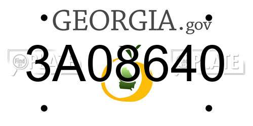 3A08640 Georgia License Plate