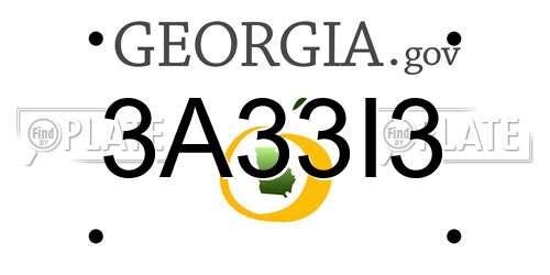 3A33I3 Georgia License Plate