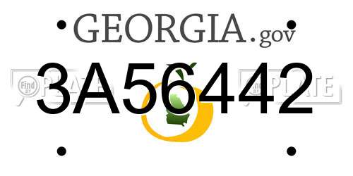 3A56442 Georgia License Plate