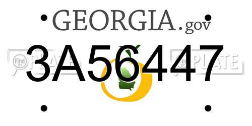 3A56447 Georgia License Plate