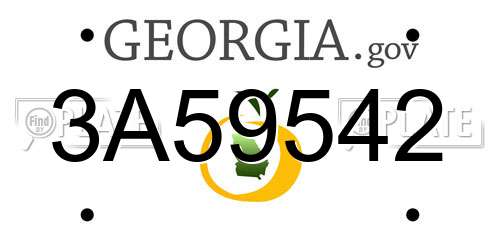 3A59542 Georgia License Plate