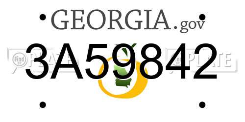 3A59842 Georgia License Plate