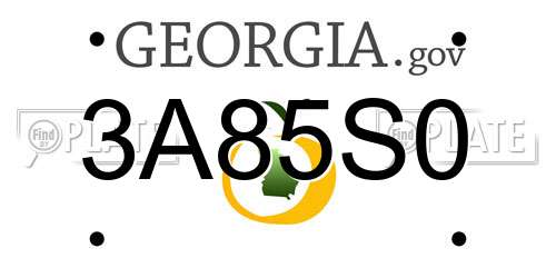 3A85S0 Georgia License Plate