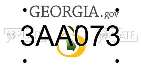 3AA073 Georgia License Plate